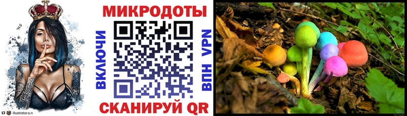 купить   Починок  Псилоцибиновые грибы MAGIC MUSHROOMS 